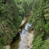 M7207836