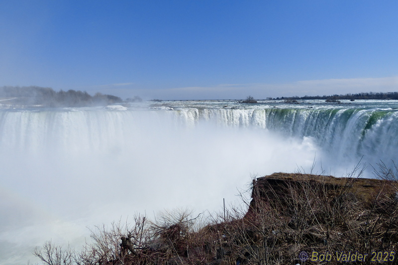 P1060554.jpg