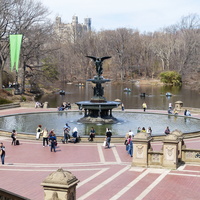 Central Park - New York