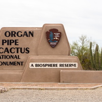 Organ Pipe Cactus National Monument