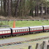 BC144409
