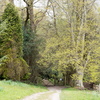 BC124947