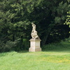 BC136786