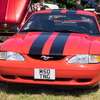 T6020037
