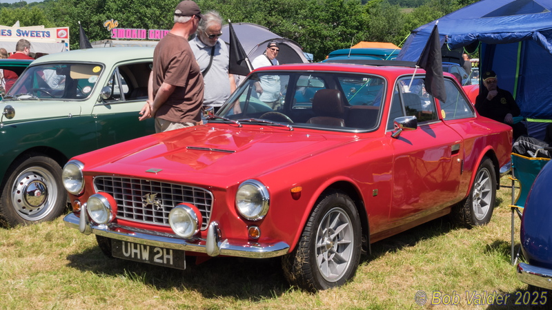 T6020030.jpg