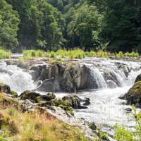 Cenarth Falls