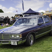Swansea Classic Car Show