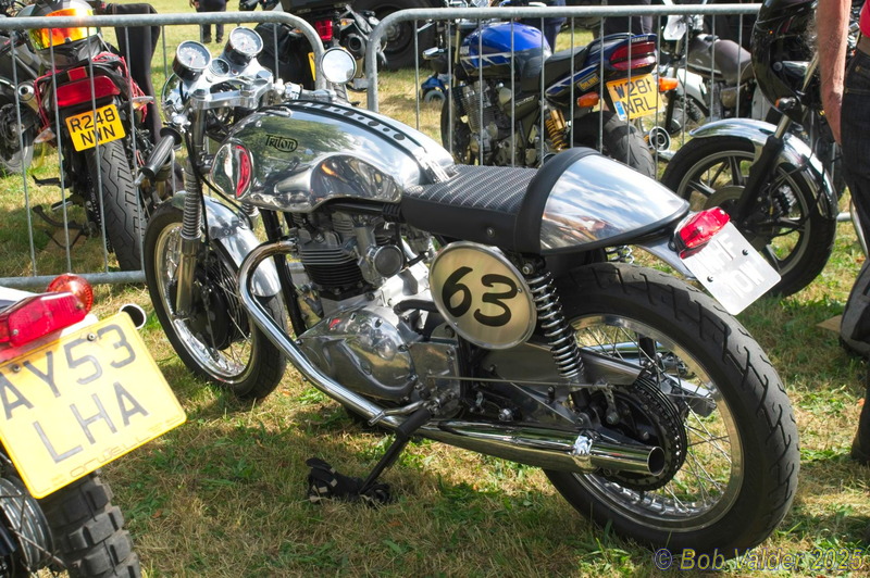 T8100011.jpg