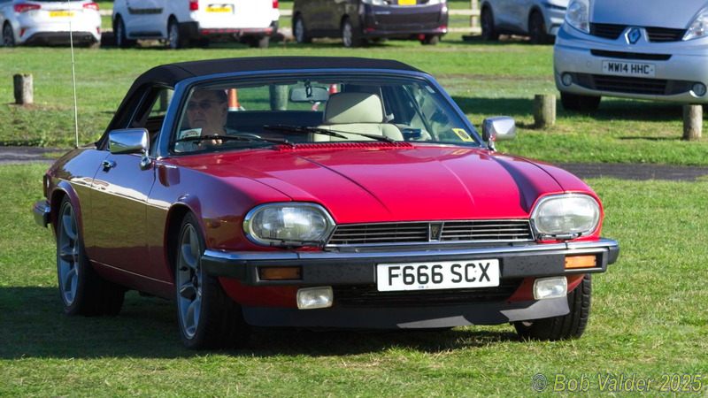 BC182512.jpg