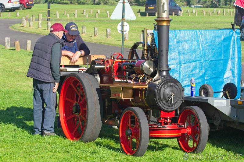 BC182542.jpg