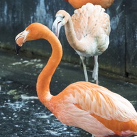 Llanelli Wetland Centre