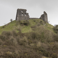 Dryslwyn Castle