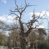 P3020399