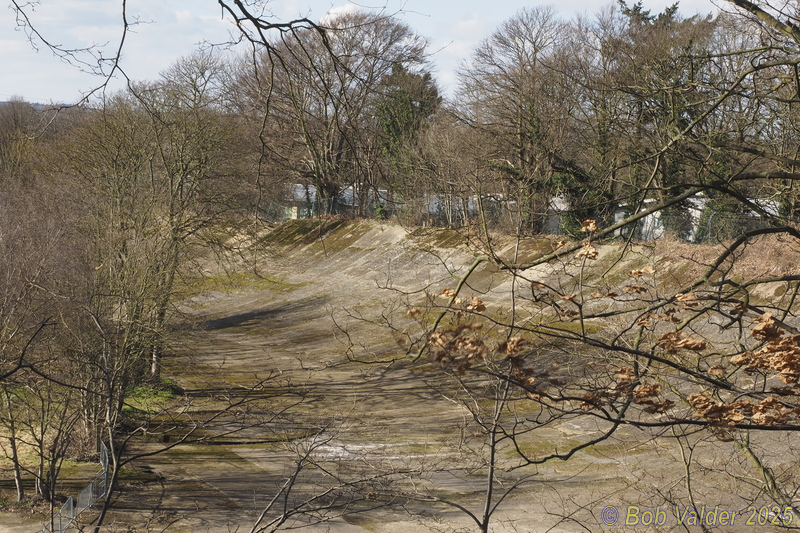 P3020410.jpg