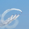 Seagull vs Red Arrows - P8150185