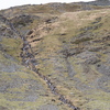 B3160196