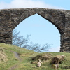 B3160185