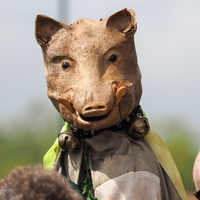 Traditional dress/dancers