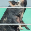 P9210080