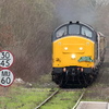 BC172919