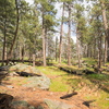 P6156644