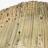 P6156666