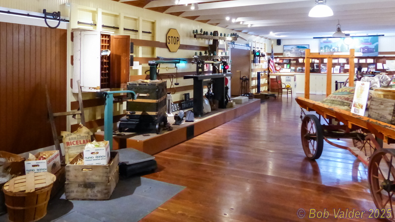 P1020571.jpg