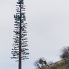 P1020591