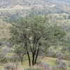 P1020624
