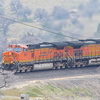 P1020655