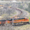 P1020659