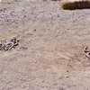P1040920