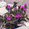 P1040929
