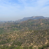 P1020532