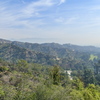 P1020553