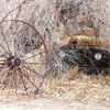 P1040246