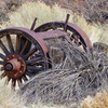 P1040198