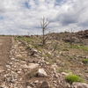 P5262891