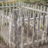 P5262971