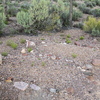 P5262974