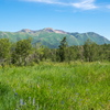 P6238529
