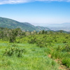 P6238532-Pano