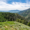 P6238541