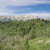P6238554