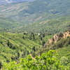 P6238556