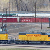 P1170245