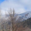 P1160926