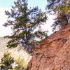 P1160931