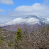 P1160938