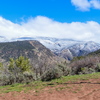 P1160956